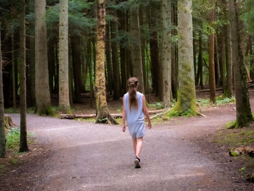 visiby blog chica pasea por el bosque y tiene que elegir entre dos caminos