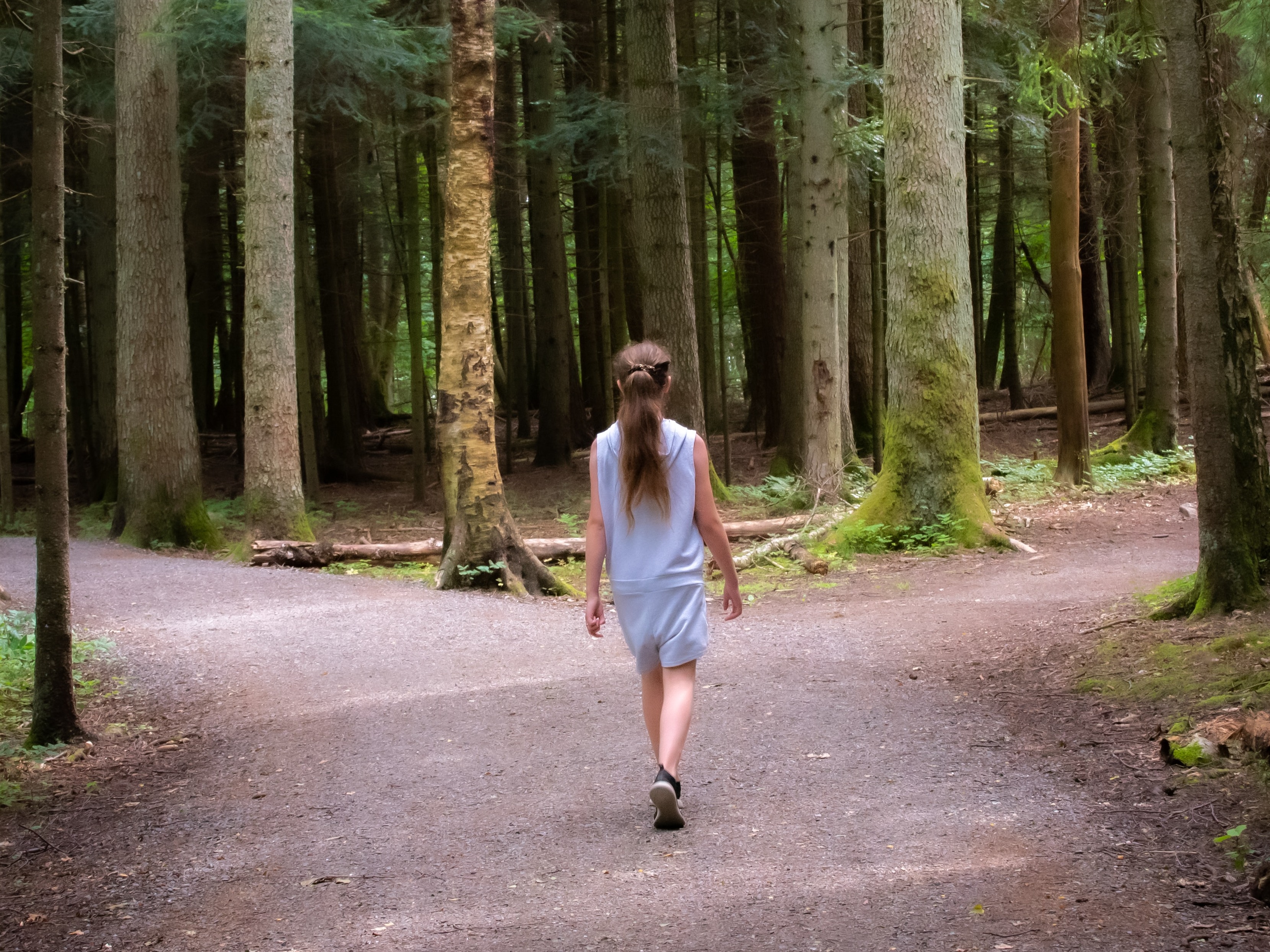 visiby blog ragazza nel bosco sceglie cammino