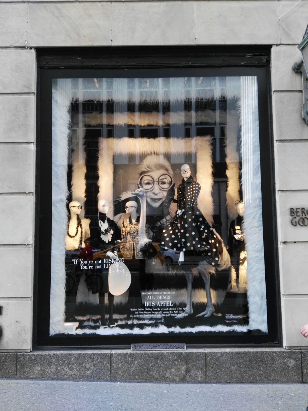 USA / New York / Design / Visual Merchandising