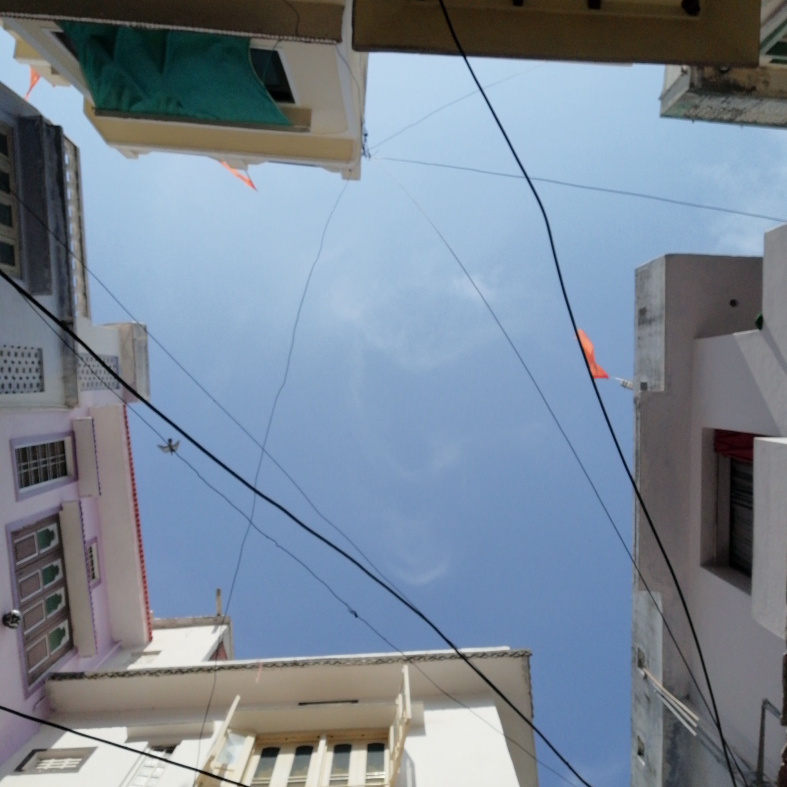 INDIA / Udaipur / Abstract